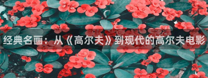 青苹果影业