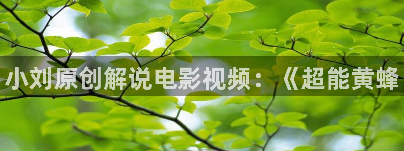 6080青苹果电影院