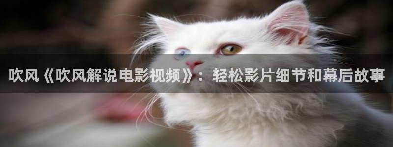 青苹果乐园在线观看电视剧免费版