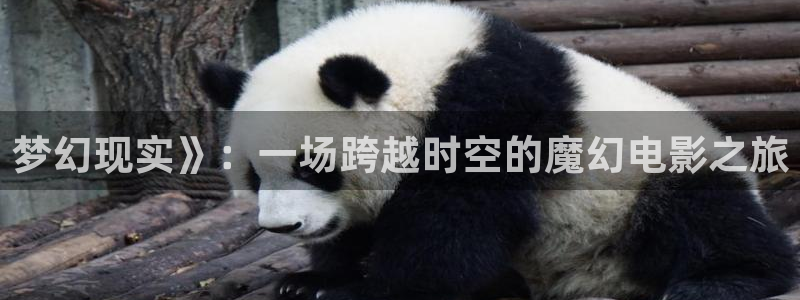 青苹果青苹果影视