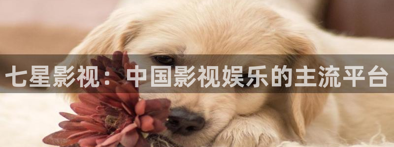 青苹果影院午夜