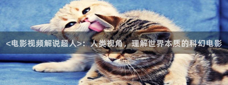 青苹果yy6090