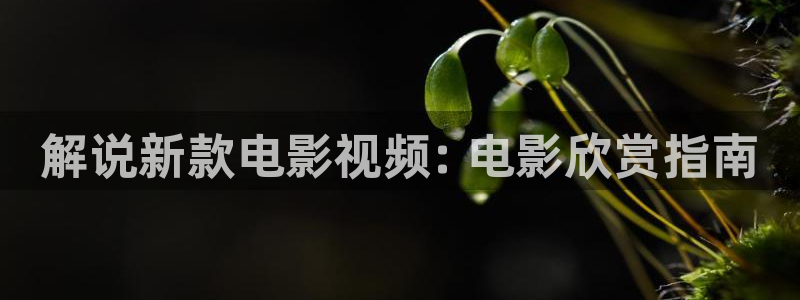 新闻图片