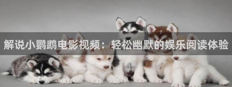新闻图片