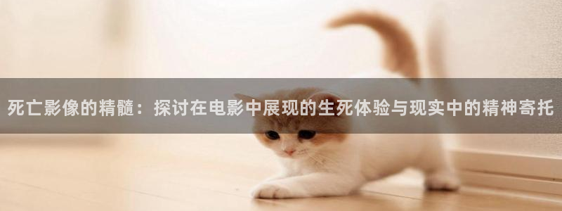 青苹果乐园影视免费观看电视剧高清