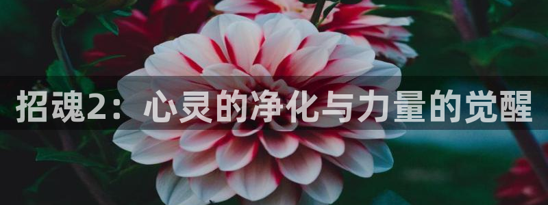 4060青苹果影视
