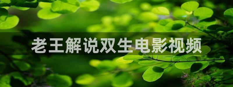 yy4480青苹果影视院