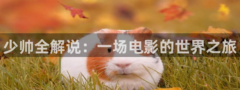 青苹果视频在线免费观看