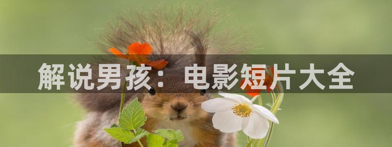 青苹果乐园在线高清观看免费