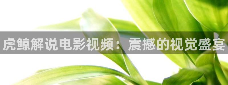 青苹果乐园免费播放电视剧